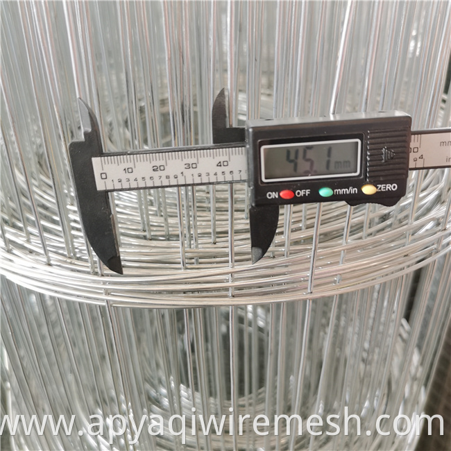 YQ Galvanized Welded Wire Mesh for Agriculture or Bird Cage for Protection Construction